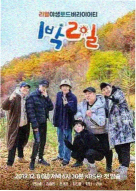 奔跑吧 第12季 大片免费看